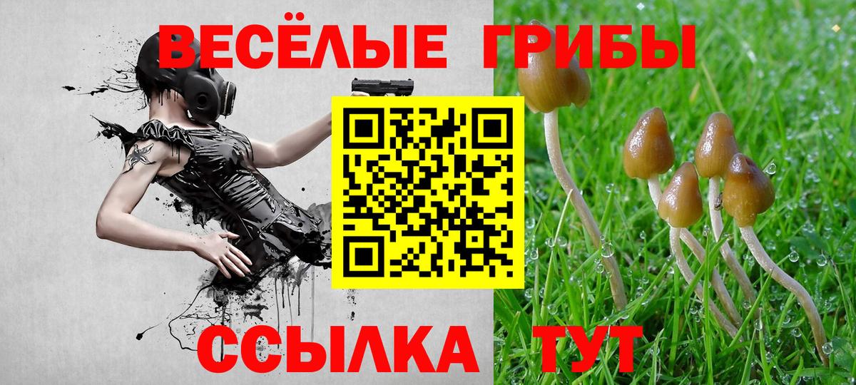 Кумертау  Псилоцибиновые грибы MAGIC MUSHROOMS  Псилоцибиновые грибы Cubensis  Вход с VPN 